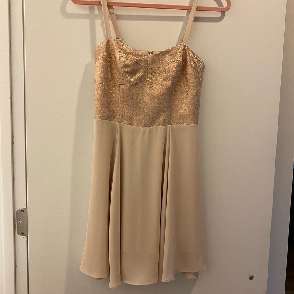Express Ballerina Dress